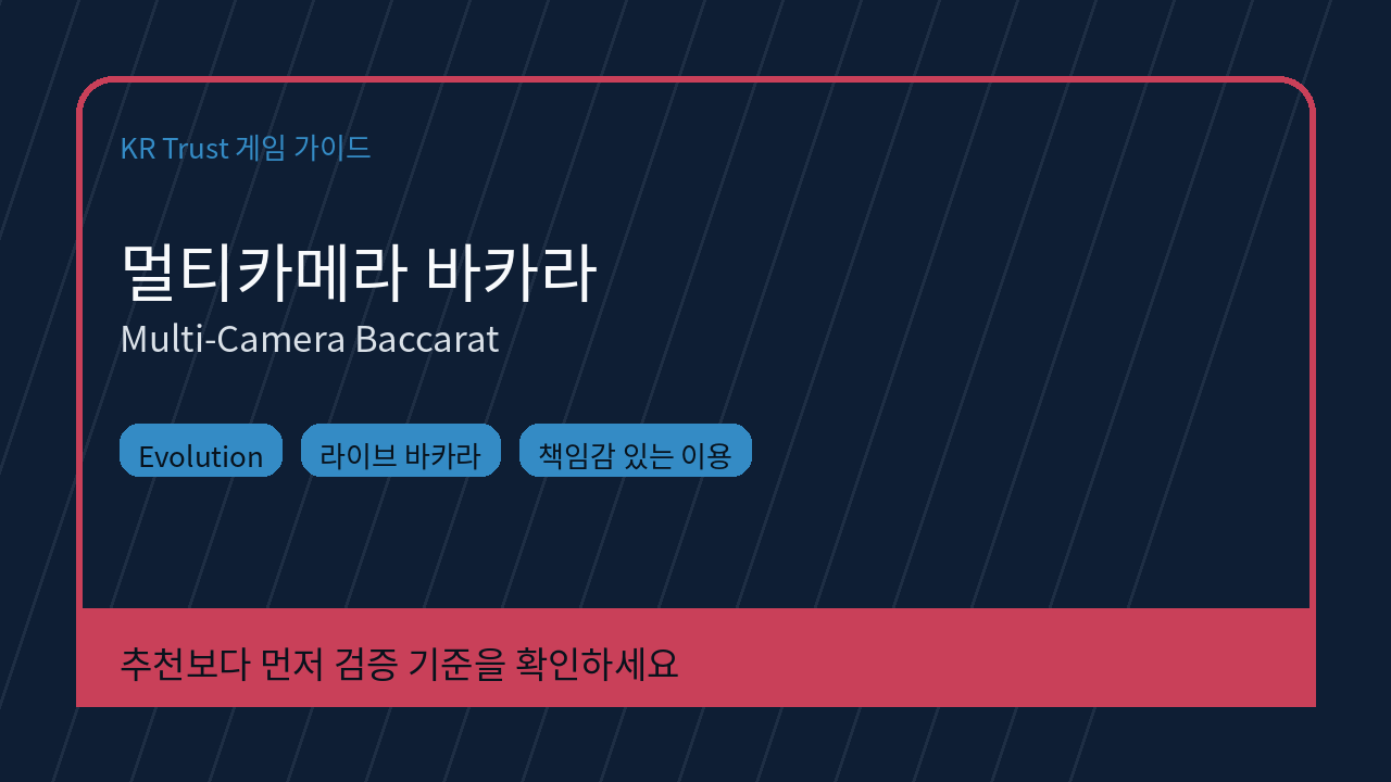 멀티카메라 바카라 대표 이미지