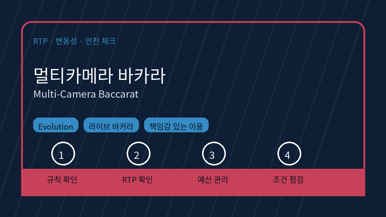 멀티카메라 바카라 RTP 변동성 체크 이미지